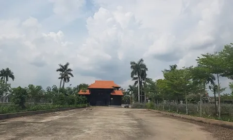 Cần Giờ, TP.HCM: Công ty Cần Giờ Riverside lấn chiếm hàng nghìn m2 đất