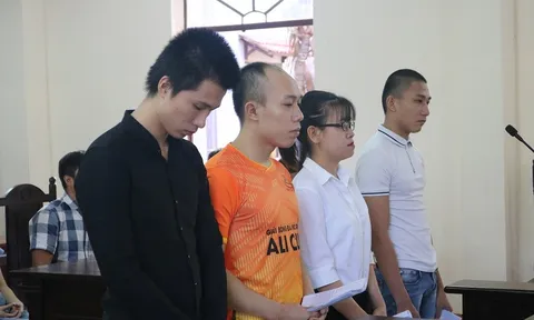Xét xử 4 nhân viên công ty Địa ốc Alibaba về tội gây rối, đập phá chống lệnh cưỡng chế sai phạm đất đai