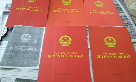 Ngân hàng Nhà nước cảnh báo rủi ro khi nhận thế chấp 'Sổ đỏ'