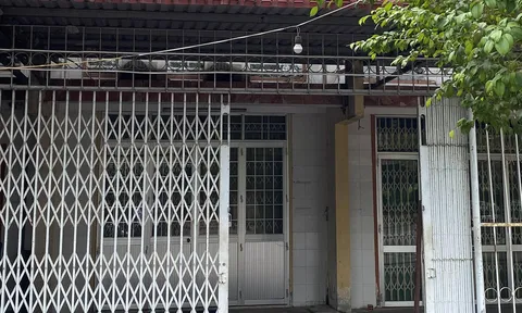 Buộc thôi việc nữ Phó phòng ở Cà Mau đi du học nước ngoài rồi không về