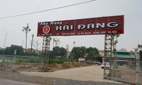 Đông Anh: San lấp hàng nghìn mét vuông ao hồ để xây dựng nhà hàng 