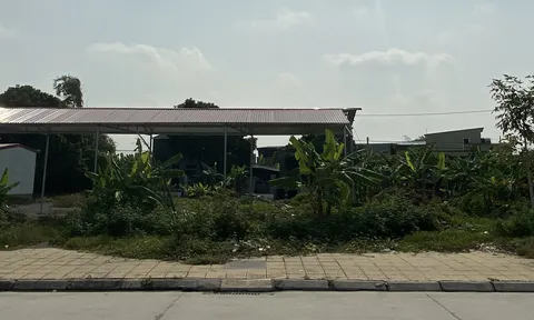 Hà Nam: Vì sao nhiều hộ dân chưa được trả lại đất tại DA vành đai TX. Phủ Lý?