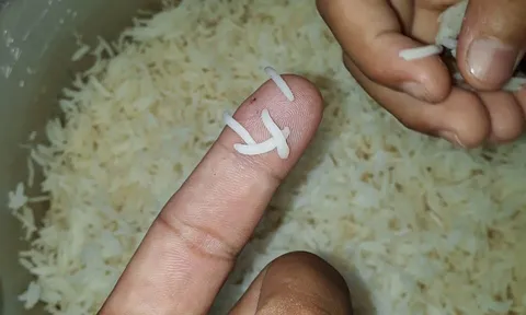 Cà Mau: Thông tin chính thức vụ nghi ngờ gạo giả trên mạng xã hội