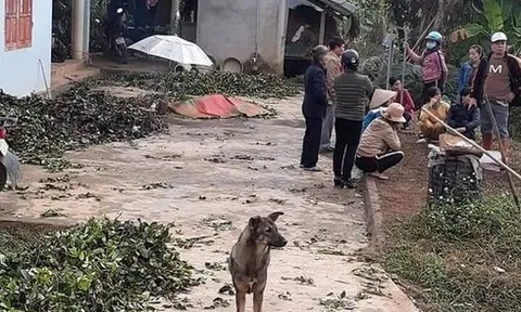 Nghi vấn nam thanh niên ngáo đá dùng dao chém 6 người chết ở Thái Nguyên