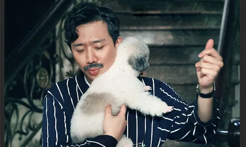 Trấn Thành đầu tư 4 tỷ cho phim 'Bố già'