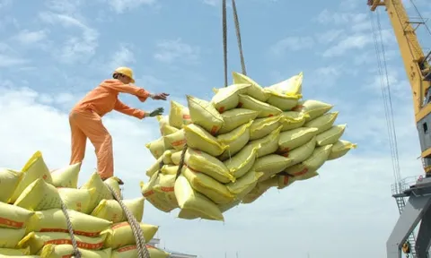 Thủ tướng đồng ý xuất khẩu gạo trở lại nhưng phải đảm bảo an ninh lương thự