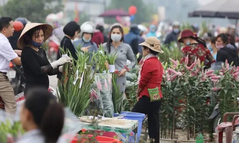 Người mua bán ở chợ hoa Mê Linh từ 20/3 cần liên hệ y tế gấp