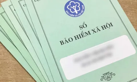 Phó Thủ tướng chỉ đạo xử lý nghiêm hành vi mua gom sổ bảo hiểm xã hội