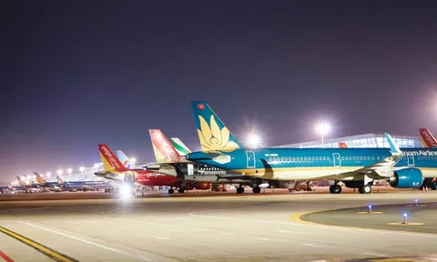 Vietnam Airlines, Vietjet Air, Bamboo Airways chưa được khai thác các đường bay nội địa