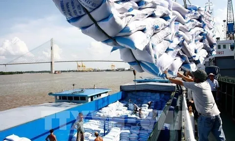Phó Thủ tướng yêu cầu làm rõ vụ hải quan mở tờ khai xuất khẩu gạo lúc nửa đêm