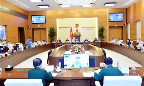 Ủy ban Thường vụ Quốc hội cho ý kiến 6 dự án luật tại Phiên họp thứ 44