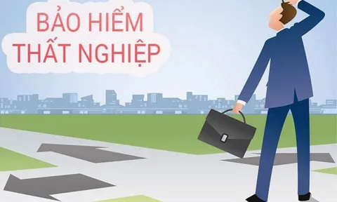 Chi tiết các thủ thục, điều kiện để người lao động được hưởng trợ cấp thất nghiệp
