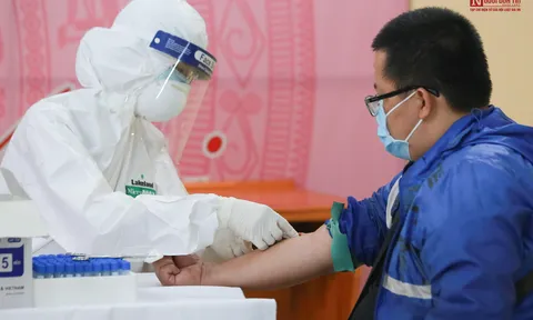 4 mẫu test nhanh nghi dương tính Covid-19 ở chợ hoa Mê Linh cho kết quả âm tính