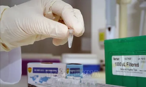 WHO và Anh công nhận bộ xét nghiệm COVID-19 của Việt Nam