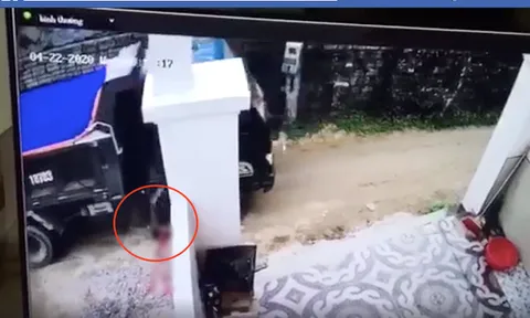 Lời khai của tài xế lùi xe cán chết bé trai rồi xóa dấu vết hiện trường