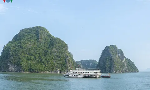 Vịnh Hạ Long đón khách tham quan trở lại từ ngày 1/5