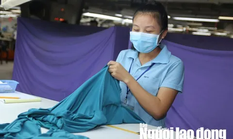 7 đối tượng được nghỉ việc không cần báo trước từ năm 2021