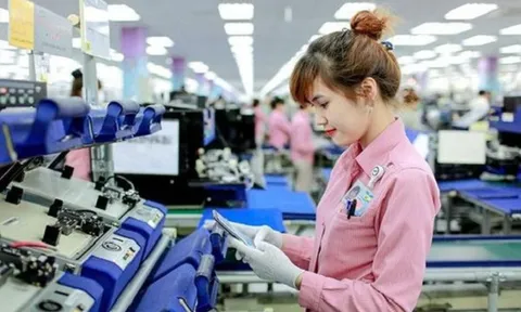 Người lao động được nghỉ không lương tối đa bao nhiêu ngày trong năm?