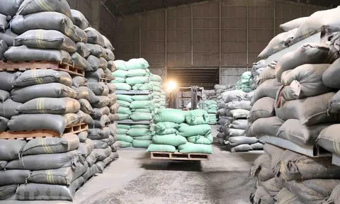 Bộ Tài chính công bố kết quả thanh tra mua gạo dự trữ quốc gia