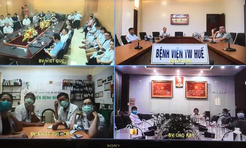 Hội chẩn liên viện bàn phương án ghép phổi cho phi công người Anh mắc COVID-19 nặng
