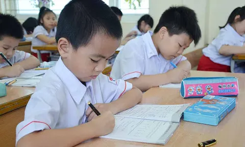 Đề xuất cho học sinh tiểu học có thể học vượt lớp trong phạm vi cấp học
