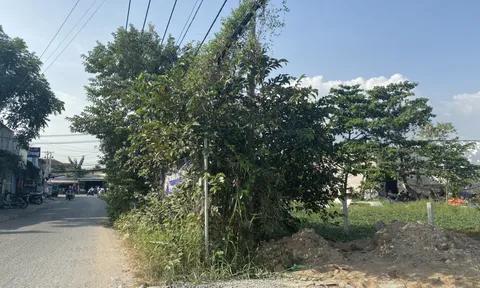 TP. HCM: Cần làm rõ việc Chi cục thi hành án dân sự huyện Bình Chánh từ chối thi hành án