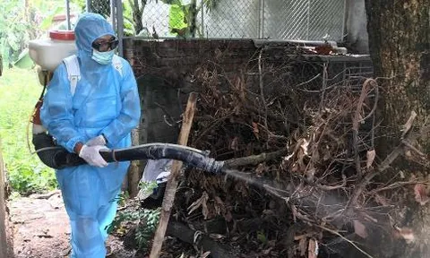 Ca nhiễm virus Zika ở Đà Nẵng đã khỏi bệnh