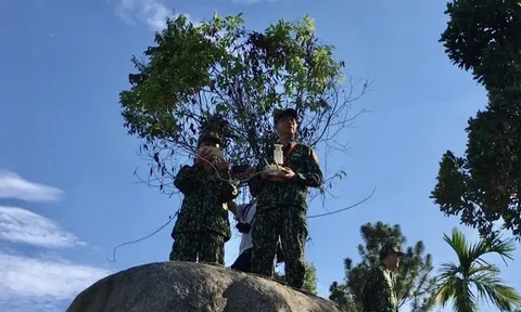 Sử dụng flycam truy lùng phạm nhân vượt ngục lẩn trốn trên đèo Hải Vân