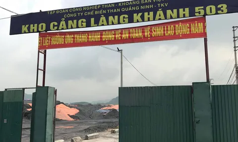 Quảng Ninh: Công ty TNHH Thái Sơn 503 bị xử phạt 300 triệu đồng