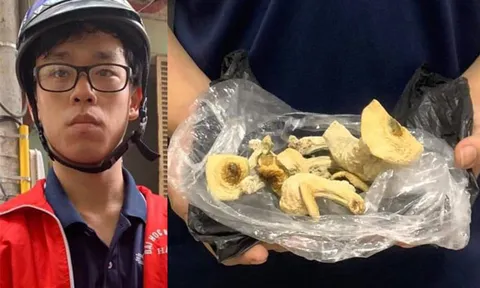Bắt giữ nam thanh niên giao bán 'nấm ma túy' lần đầu xuất hiện tại Hà Nội