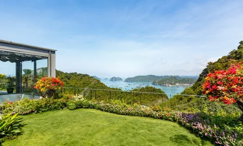 Flamingo Cat Ba Resorts - nối dài sắc xanh tạo hóa