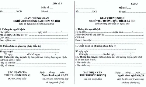 5 điều cần biết về giấy chứng nhận nghỉ việc hưởng BHXH