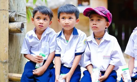 Sữa học đường Quảng Nam: Học sinh miền núi được uống sữa miễn phí