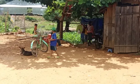Một bệnh nhân bạch hầu ở Đắk Nông đang diễn biến nặng