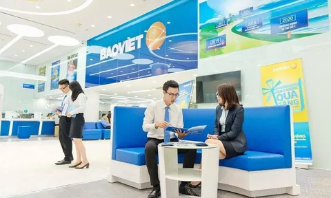 Tập đoàn Bảo Việt (BVH): Dự kiến chi trả gần 600 tỷ đồng cổ tức  bằng tiền mặt trong bối cảnh dịch Covid-19