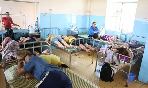 Hàng trăm người nhập viện khẩn cấp do món miến xào hải sản nhiễm khuẩn E.Coli