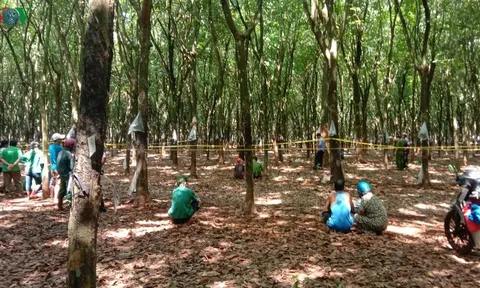 Người đàn ông tử vong trong tư thế treo cổ ở Bình Phước
