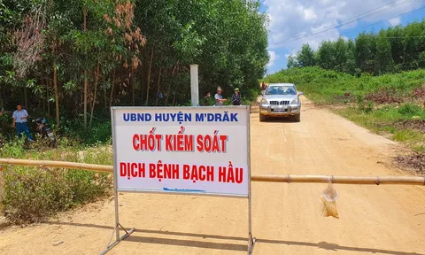 Thêm 2 trường hợp ở tỉnh Đắk Lắk dương tính với bạch hầu