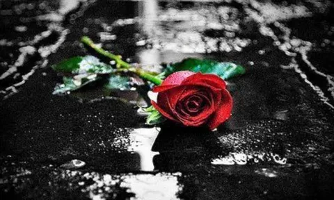 Không phải ta cứ cho đi, thì họ sẽ đáp lại...