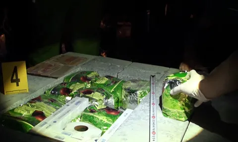 Phát hiện 40 kg ma tuý đá trong container ở Sài Gòn