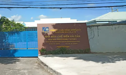 Vũng Tàu: Công ty Đông Đông Hải bị xử phạt về hành vi xả thải vượt mức quy định