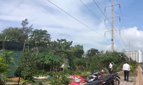 Vũng Tàu: Phát hiện nhiều công trình không có hồ sơ xây dựng tại phường 10