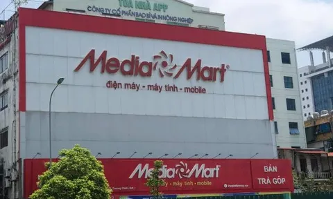 Cần làm rõ việc Công ty cổ phần bao bì và in nông nghiệp cho thuê đất sai quy định