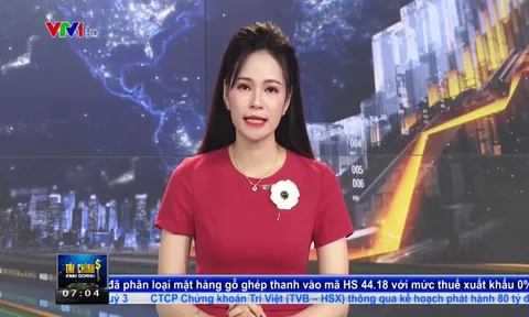 VTV lên tiếng xin lỗi sau sự cố ví gánh hàng rong như 'ký sinh trùng' trên sóng truyền hình