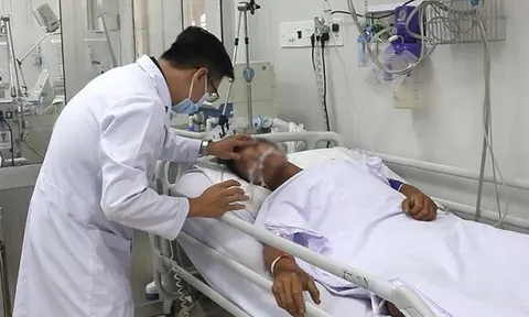 Người đàn ông bị rắn hổ mang chúa cắn đang nguy kịch
