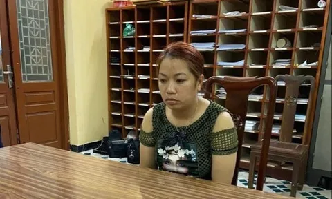 Lật tẩy âm mưu của người đàn bà bắt cóc bé trai 2 tuổi ở Bắc Ninh