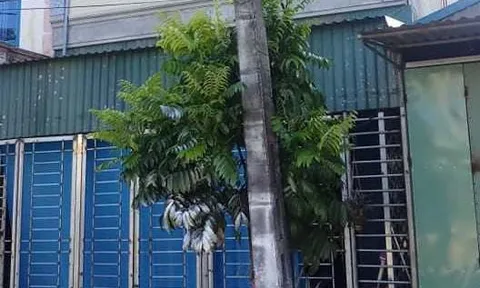 Thái Bình: Mâu thuẫn gia đình, chồng tẩm xăng đốt vợ bỏng 90% cơ thể