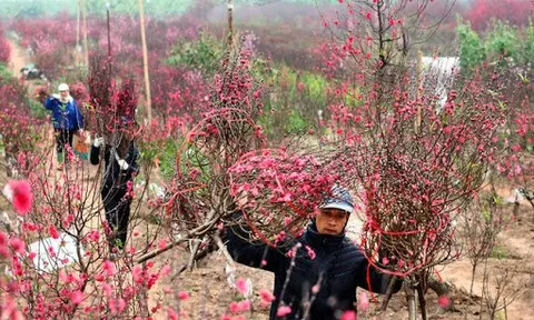 Từ năm 2021, lịch nghỉ Tết Nguyên đán thay đổi thế nào?