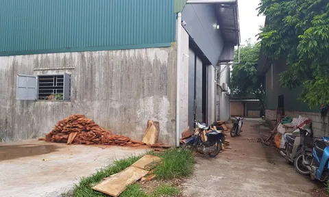 Phú Xuyên (Hà Nội): Đất nông nghiệp trại Ông Ổn bị chiếm dụng đến bao giờ?