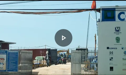 Bà Rịa, Vũng Tàu: Chưa xử lý dự án không phép vì Phó Chánh Thanh tra Sở bận viết báo cáo